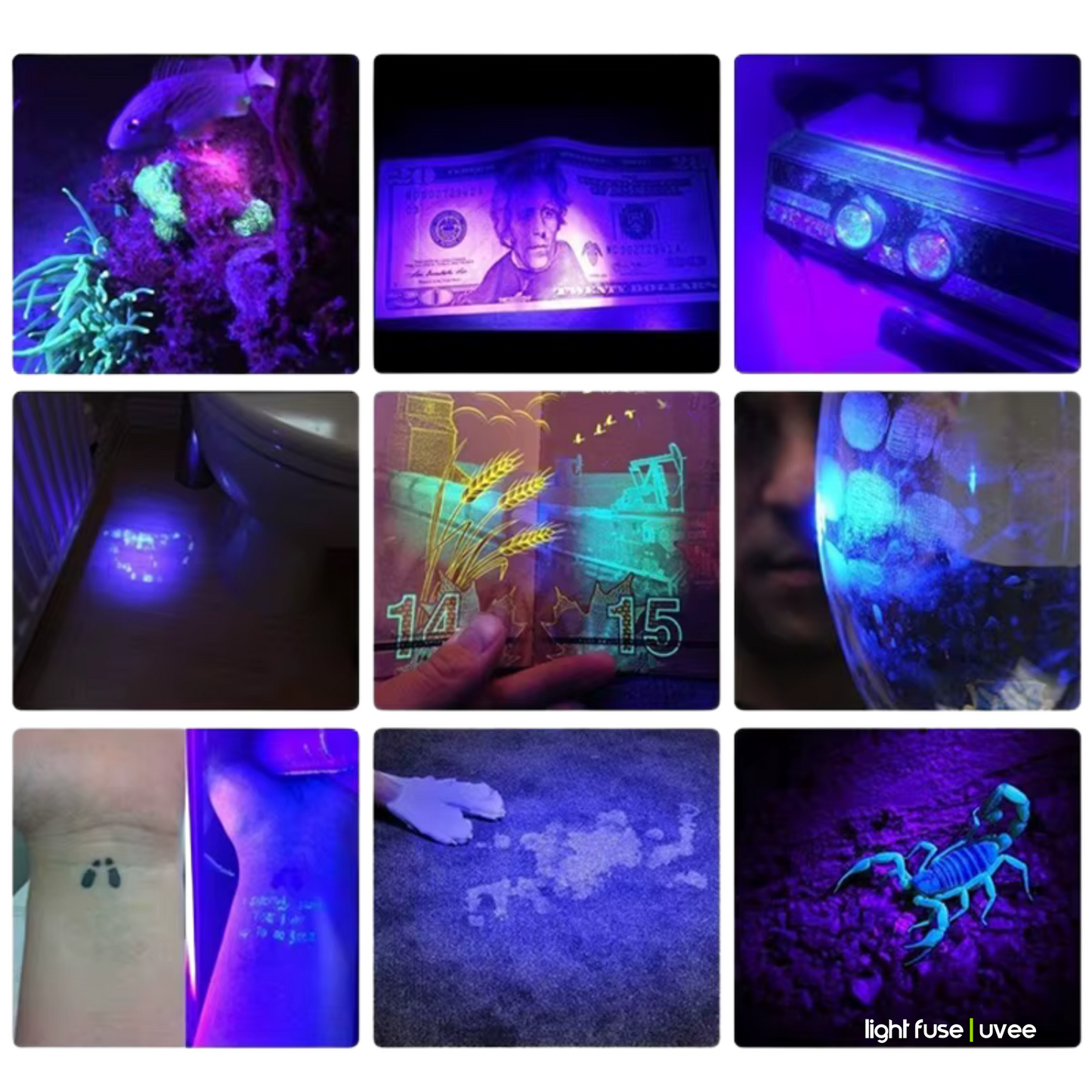 Light Fuse™ UVee - Linterna UV portátil